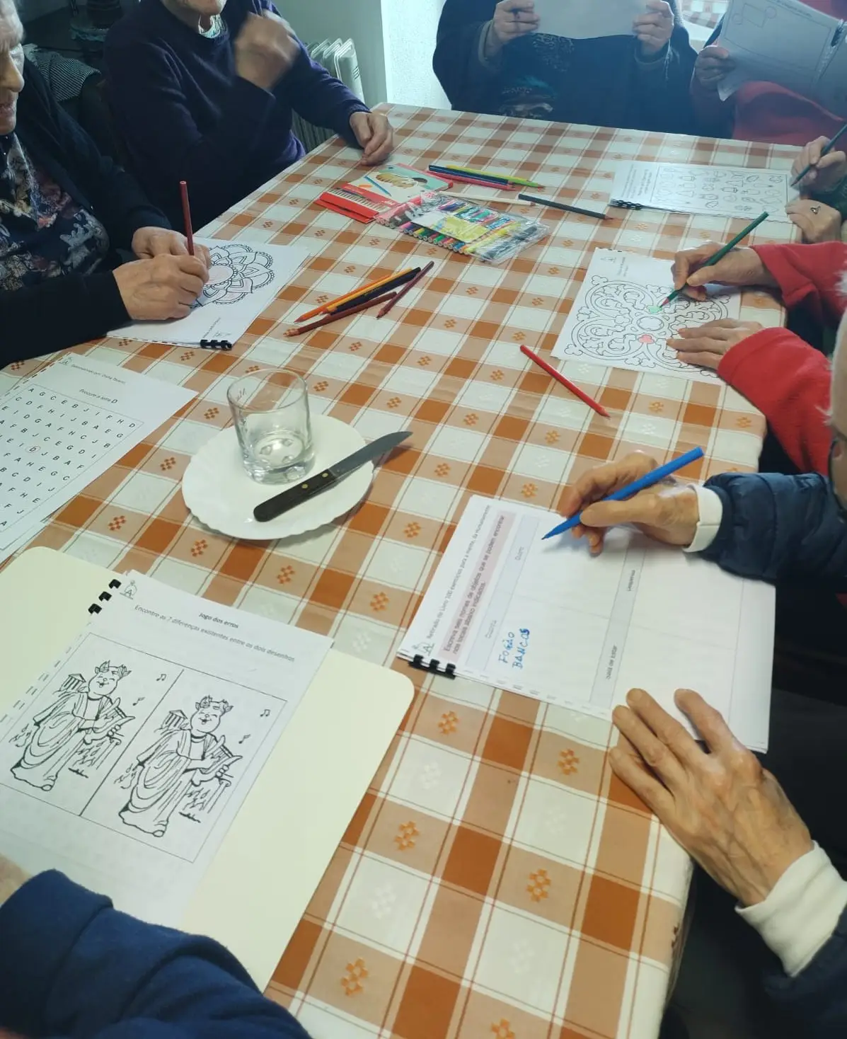 Intervenção Especializada numa IPSS